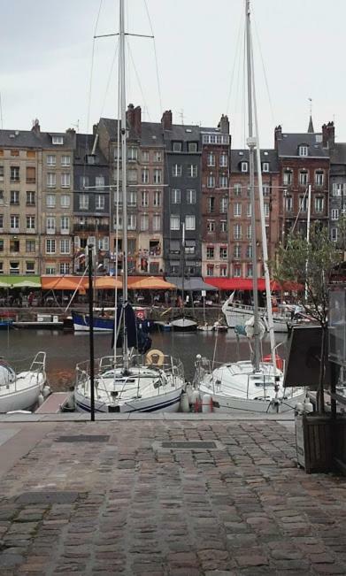 La Fleur D Honfleur Avec Son Parking Apartment Exterior photo